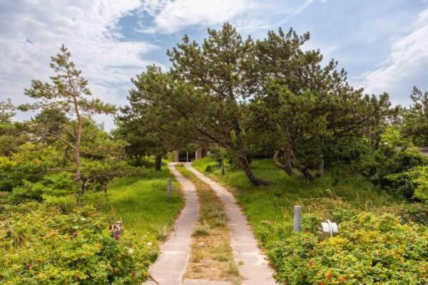 Villa De Rosa Bergen aan Zee Exteriér fotografie